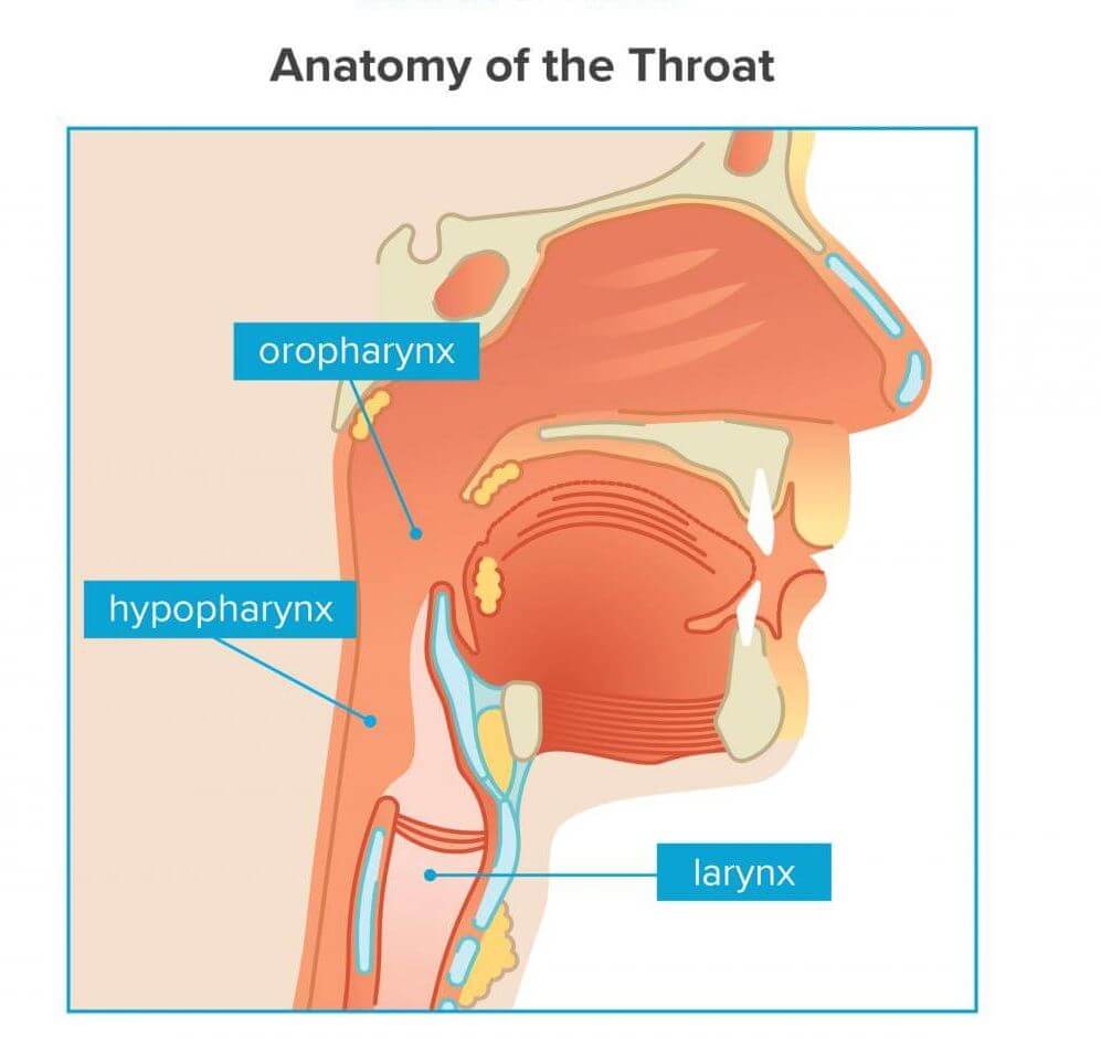 001-labextrade.com-stages-throat-cancer5