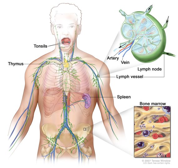 Laryngeal Cancer – Stages Symptoms Prognosis And Treatment Options