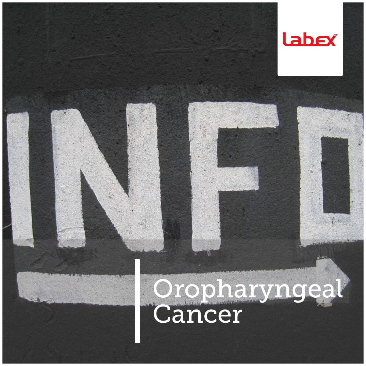 LabexTrade-1200x1200-layout578-1g LabexTrade-1200x1200-layout578-1g
